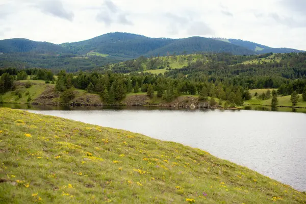 Dağların ve nehrin manzara fotoğrafı. Doğada tatil.