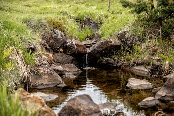 Doğada tatlı su olan küçük bir derenin fotoğrafını çek.