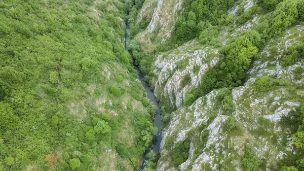 Temiz suyun ve dağların havadan görünüşü. Drone fotoğrafı. Güzel doğa.