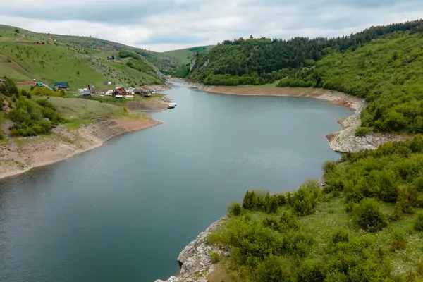 Temiz su ve ağaçlar. Manzara fotoğrafı. Güzel doğa.