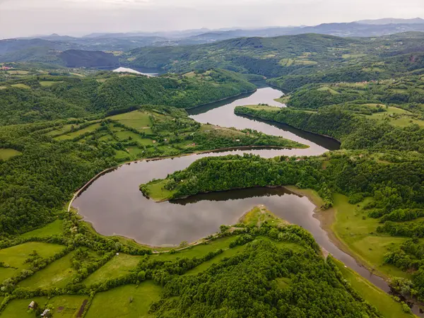 Nehir ve dağlardaki ağaçların havadan çekilmiş fotoğrafı. Doğada yaz