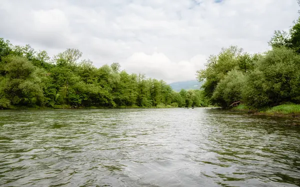 Güneşli bir günde nehrin fotoğrafı. Güzel, huzurlu bir yer.