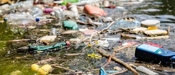 Nehir çeşitli çöp ve çöplerle kirlenmiş.