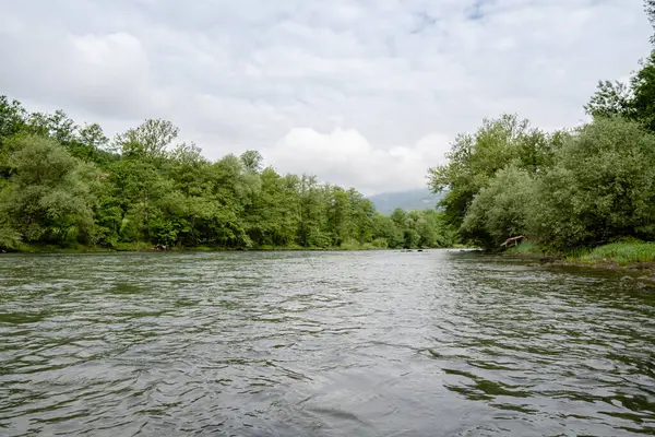 Güneşli bir günde nehrin fotoğrafı. Güzel, huzurlu bir yer.