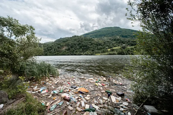 Dağdaki nehir çeşitli çöp ve çöplerle kirlenmiş.