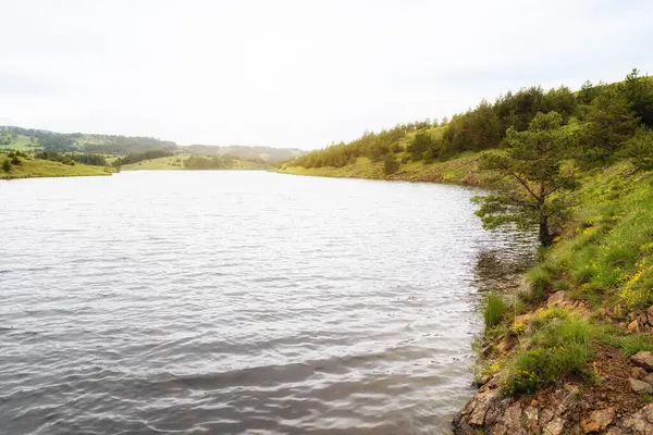 Güneşli bir günde nehrin fotoğrafı. Güzel, huzurlu bir yer.