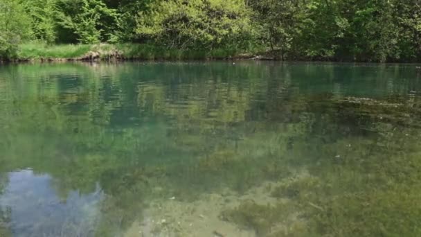 Eau Ondulante Lac Dans Forêt Claire Que Fond Est Visible — Video
