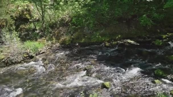 Filmik Szybkim Strumieniem Nad Skałami Pochodzącymi Wodospadu Lesie — Wideo stockowe