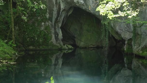 Vidéos Captivantes Entrée Grotte Dessus Lac Clair Dans Les Bois — Video