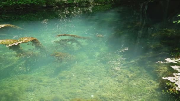 Ονειρεμένη Μαγευτική Λίμνη Krupajsko Vrelo Καλυμμένη Υδρόβια Φυτά — Αρχείο Βίντεο