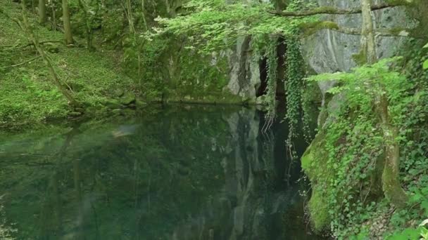 Höhleneingang Versteckt Grüner Üppiger Vegetation Über Dem Schönen See — Stockvideo