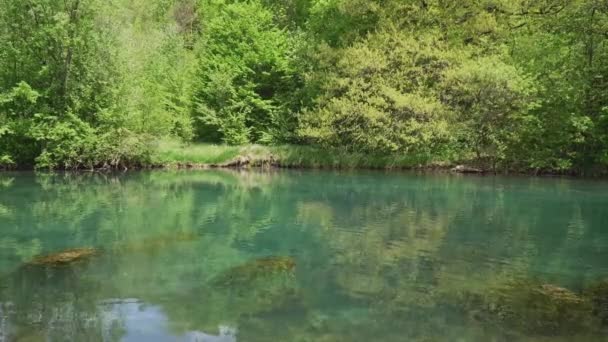Čistý Horský Rybník Přírodní Rezervaci — Stock video