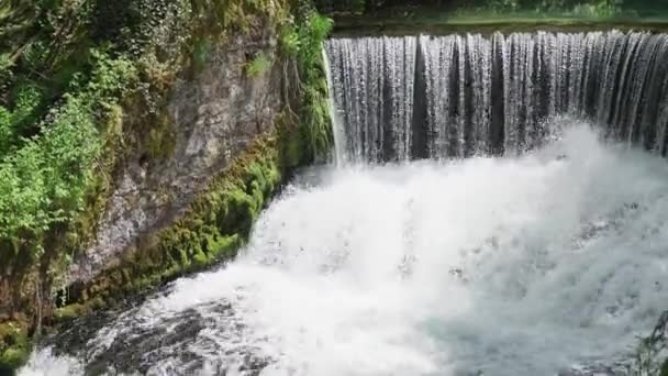 Záběry Vodopádu Přírodní Rezervaci Krupajsko Vrelo — Stock video
