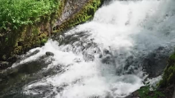Záběry Rychlého Potoka Přes Skály Přicházející Vodopádu Lese — Stock video