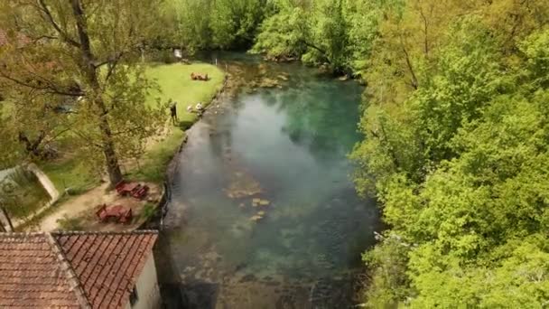 自然保護区の木や家の背後にある美しいターコイズ湖のドローンビデオ — ストック動画