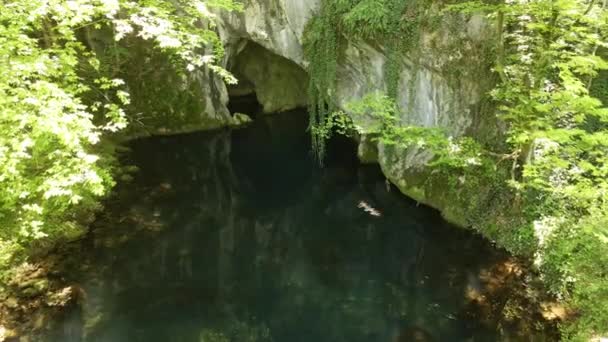 杜龙在自然保护区Krupajsko Vrelo森林中捕获了一个洞穴和绿松石湖 — 图库视频影像
