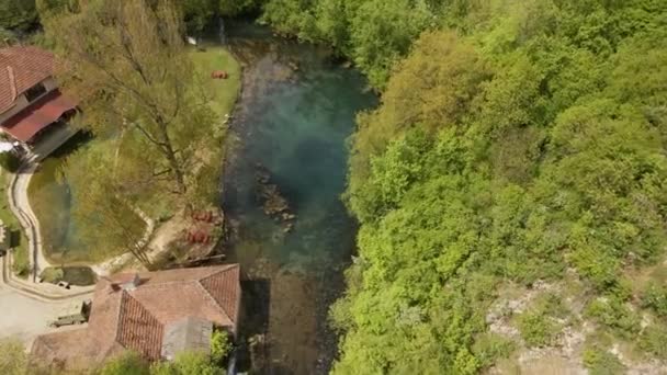 Drone Βίντεο Από Την Όμορφη Λίμνη Κρύβεται Πίσω Από Δέντρα — Αρχείο Βίντεο