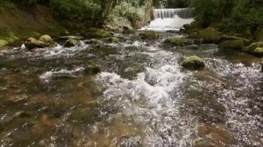 Ormandaki şelaleden gelen kayaların üzerinden akan akıntının yavaş çekim videosu