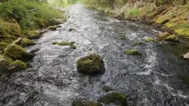 Ormandaki şelaleden gelen kayaların üzerinden akan akıntının yavaş çekim videosu