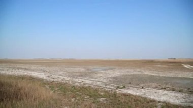 Düz, nemli bir düzlük, kuru otlar, açık mavi bir gökyüzünün altında, bir doğa koruma alanında.