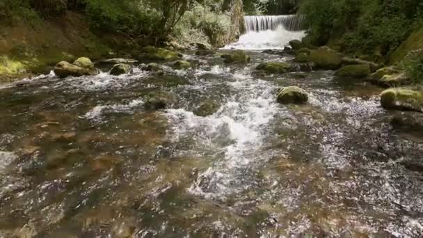 Hidasliikkeinen Video Nopeasta Virrasta Metsän Vesiputouksesta Tulevien Kivien Yli — kuvapankkivideo