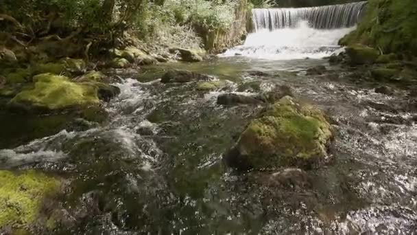 Trage Beweging Drone Video Beek Stroomt Rotsen Afkomstig Van Waterval — Stockvideo
