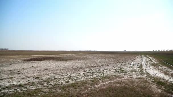 Sal Charcos Que Cubren Tierra Durante Sequía Verano Reserva Natural — Vídeos de Stock