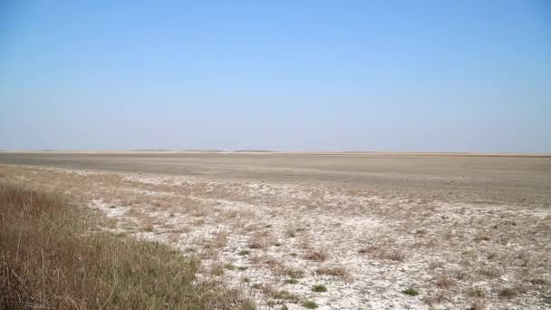 Slano Kopovo自然保护区夏季旱季覆盖土地的盐 — 图库视频影像