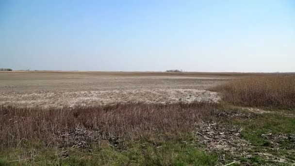 在自然保护区明亮的蓝天下有干草的盐渍土地 — 图库视频影像