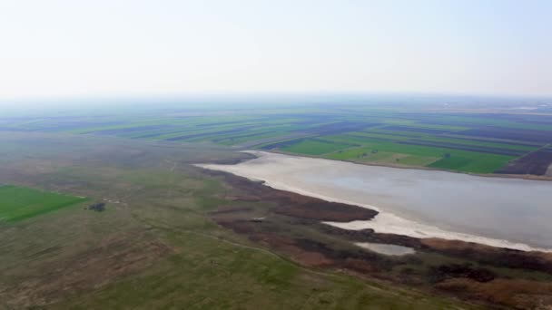 Drone Πετά Πάνω Από Χωράφια Προς Λίμνη Καλοκαίρι Στο Φυσικό — Αρχείο Βίντεο