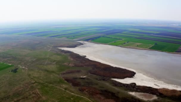 Drone Πετά Πάνω Από Χωράφια Προς Λίμνη Καλοκαίρι Στο Φυσικό — Αρχείο Βίντεο
