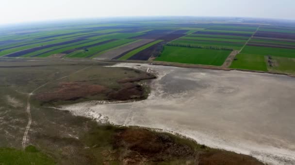 Luchtfoto Van Velden Groot Meer Zomer Natuurgebied Slano Kopovo — Stockvideo