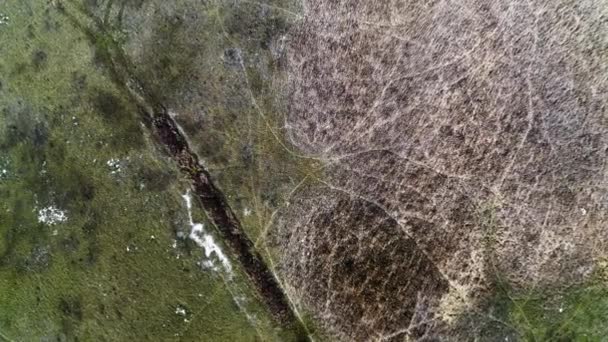 Drone Desce Direção Terra Salgada Seca Com Grama Verde Reserva — Vídeo de Stock