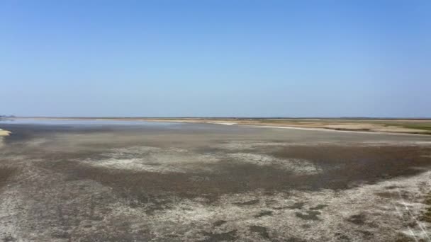 Wet Land Dry Vegetation Vibrant Blue Sky Nature Reserve — Stock Video