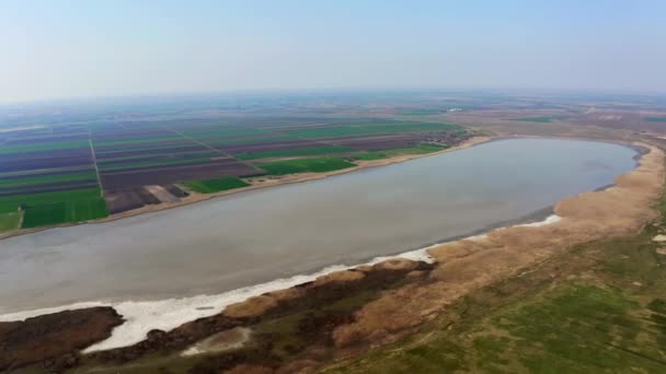 Luchtfoto Van Meer Omgeven Door Landbouwvelden Natuurgebied — Stockvideo