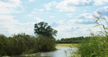Rüzgarlı ve güneşli bir günde bataklıkların görüntüsü
