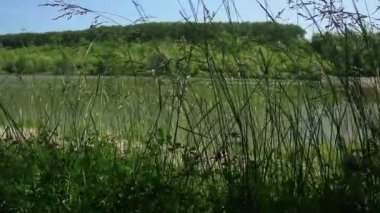Sırbistan 'da yemyeşil çimlerden Bruje Gölü' ne doğru ilerliyor