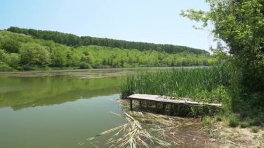 Sırbistan 'da Bruje Gölü kıyısında eski ahşap iskele ve yeşil sazlıklar ve ağaçlar