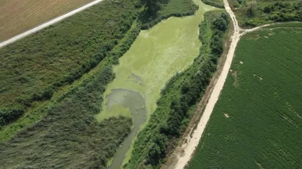 一架无人驾驶飞机飞越一片被荒野包围的沼泽地 — 图库视频影像