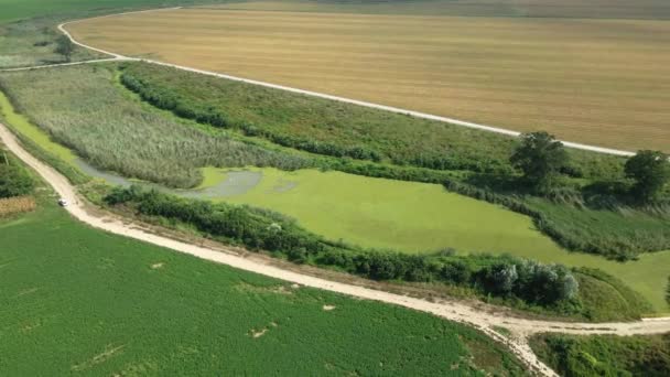 Arquivos Drones Torno Uma Lagoa Escondida Com Vegetação Verde Lado — Vídeo de Stock