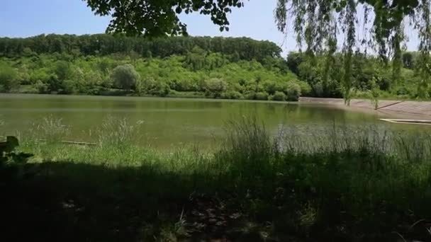 Una Sombra Árbol Orillas Lago Verde Bruje Serbia — Vídeo de stock