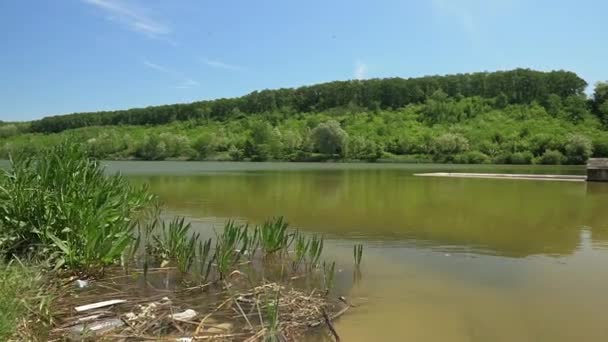Hermoso Lago Bruje Serbia Con Colina Arbolada Otro Lado Abejas — Vídeos de Stock