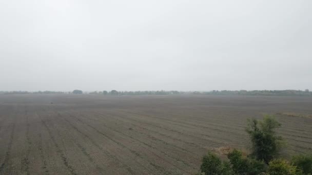 セルビアのキビジャの田舎で秋の霧の日の空の農業分野 — ストック動画