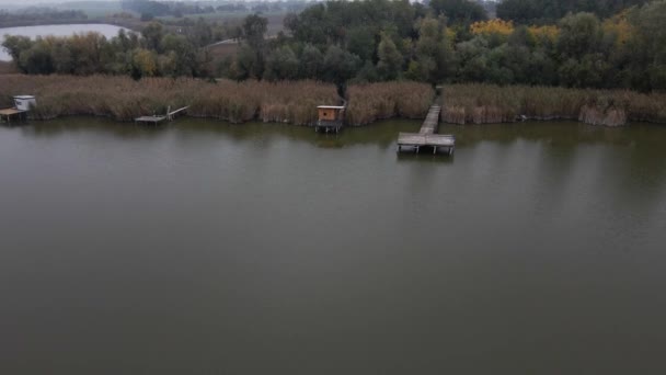 Drone Flies Piers Cabins Shore Lake Zobnatica Serbia — Stock Video