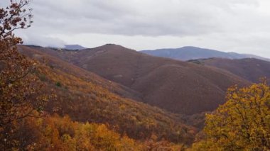 Bulutlu bir günde Nidze Dağı 'ndaki altın ağaçların nefes kesici sonbahar görüntüsü.