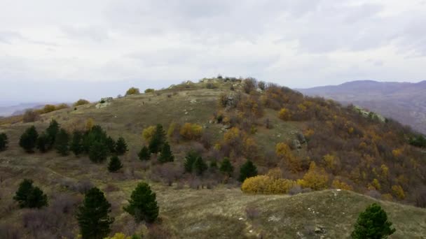 Evergreen Listnaté Stromy Keře Pokrývají Vrchol Hory Nidze Oblačném Dni — Stock video