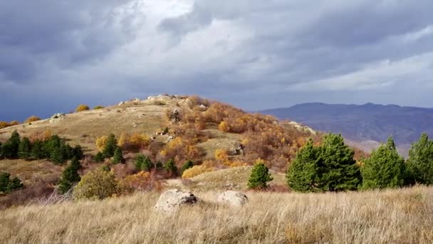 Nidze Dağı Nın Sinematik Manzarası Kasvetli Gökyüzünün Altında Kuru Çimenler — Stok video