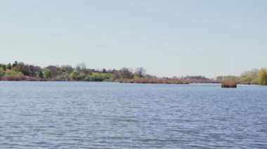 Dalgalanan göl üzerindeki kuru ve sarı bitkiler yemyeşil bitkilere dönüşür.