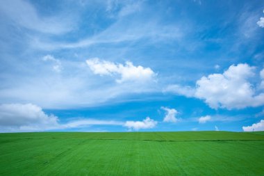 Mavi gökyüzü ve bulutlu yeşil çayırlar.