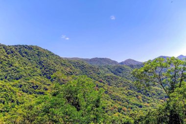 Panoramic view of rolling green mountains covered with dense, lush vegetation under a clear blue sky with a few clouds. The scene conveys a sense of serenity and natural beauty, inviting tranquility. clipart